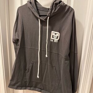 Gray Walt Disney World spirit jersey with hood